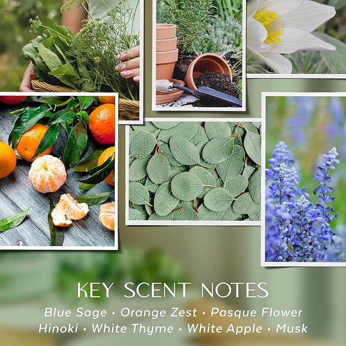 Havenwick Wild Sage Soy Blend 22-oz Large Jar Candle, Long Lasting 110-130 Hour Burn Time with Single Cotton Wick, Relaxing Scented Candles for New Home Gift & Housewarming Parties