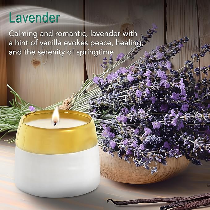 The Growing Candle, Lavender Scented, 10oz Ceramic Pot, Single Wick Aromatherapy Candles, 100% Soy for Women and Men, Clara