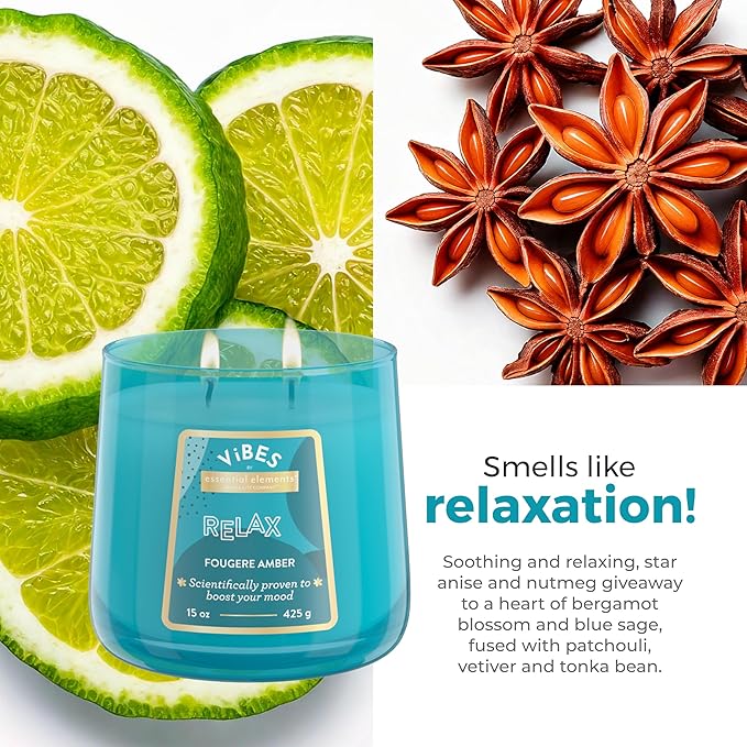 Candle-Lite Vibes Fougere Amber Mood-Enhancing Scented Candles, 15 oz Jar, Aromatherapy, Proudly Poured in The USA, 2-Wick, 86 Hours Burn Time, Perfect Relaxation Gift