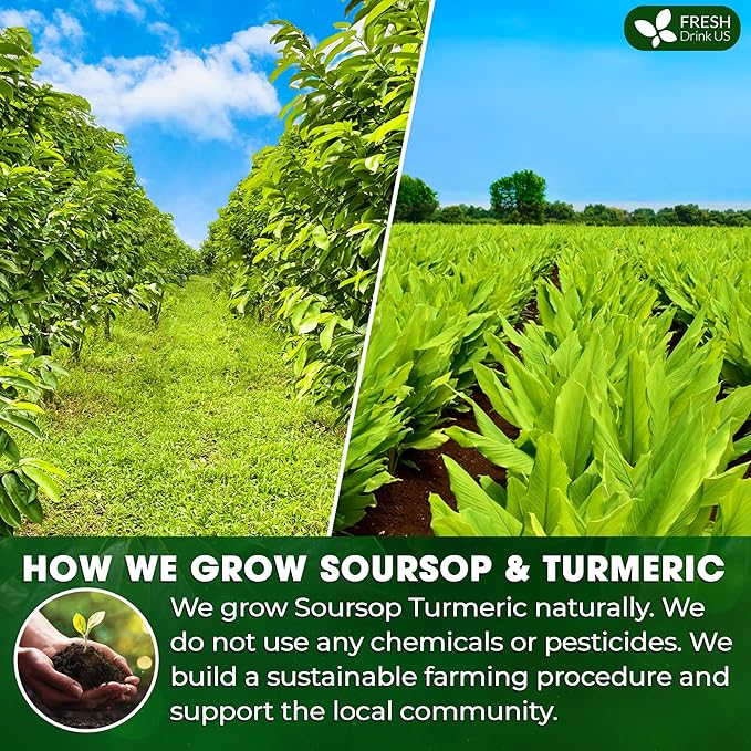 FreshDrinkUS, Premium 25 Tea Bags Soursop Turmeric, 100% Natural, Blend of Soursop Leaves, and Turmeric Root. Made with Natural Material Tea Bags. No Sugar, Vegan.