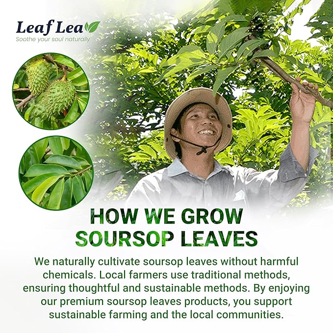 LeafLea 80 Soursop Leaf Tea Bags, from Natural Soursop Leaves (Graviola), Herbal Blend for Wellness, Sour Sop Herbal Tea Individually Wrapped for Freshness, Caffeine-Free, Vegan, No Sugar, Non-GMO