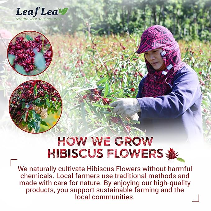 LeafLea Hibiscus Tea Bags – 160 Count, Individually Wrapped, 100% Natural Hibiscus Flower Herbal Tea, Caffeine-Free, Sugar-Free, Gluten-Free, Non-GMO, Te de Hibisco, Jamaica Tea, (Pack of 4)