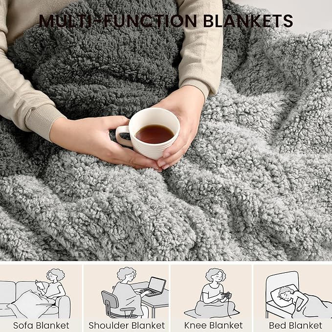 Electric Heated Blanket Queen 84x90 inches, Fast Heating w/ 10 Heat Settings & 2/4/8/10H Auto Timer, Double-Sided Sherpa, Ultra Soft & Cozy for Couch, Bed, Office, Machine Washable