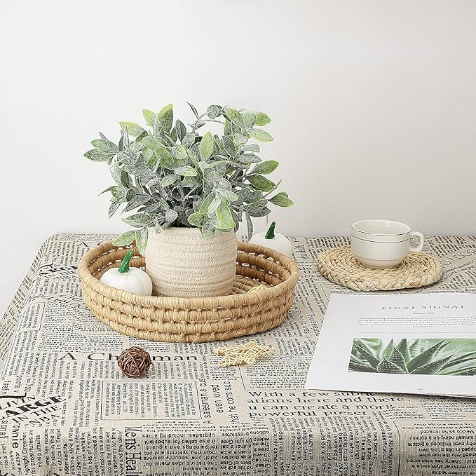 Hopewood Faux Plants, Small Fake Plant for Bathroom, Decorative Artificial Plants for Farmhouse Desk Shelf Decor with A Weave Basket (9.8inch)