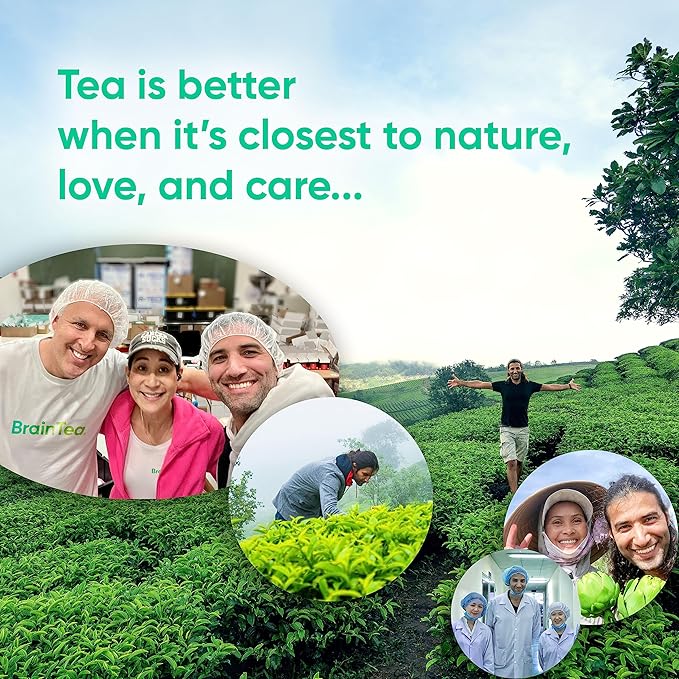 Brain Tea Focus & Memory - Organic Certified 4-in-1 Nootropic Brain Supplement with Ginkgo Biloba, Gotu Kola, Lion’s Mane Mushroom and MCT - Caffeine-Free Herbal Tea for Mental Clarity (30 Sachets)